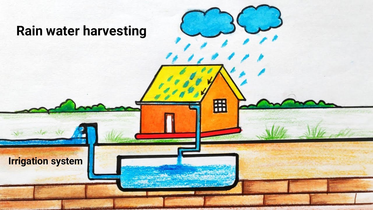 Rainwater Harvesting